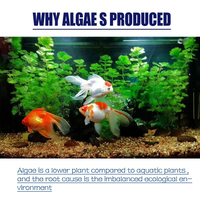 50g High Efficiency Algaecide  - Water Soluble Stabilizer 评论和价格