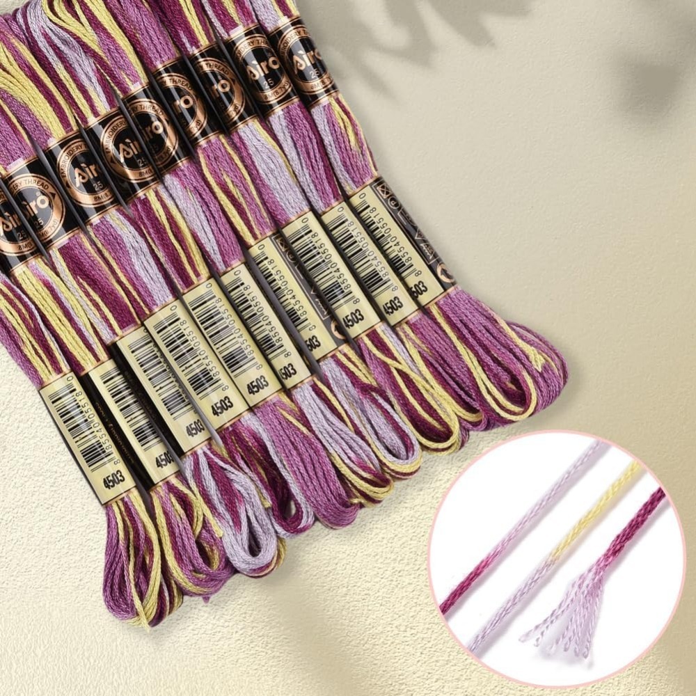 6 Strands Purple Variegated Em - Embroidery Stitches 评论和价格