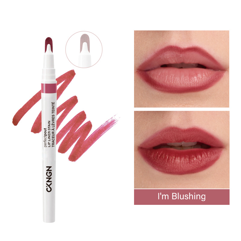 Precise Tip 2-in-1 Lip Liner & - Transfer Pen Ink 评论和价格