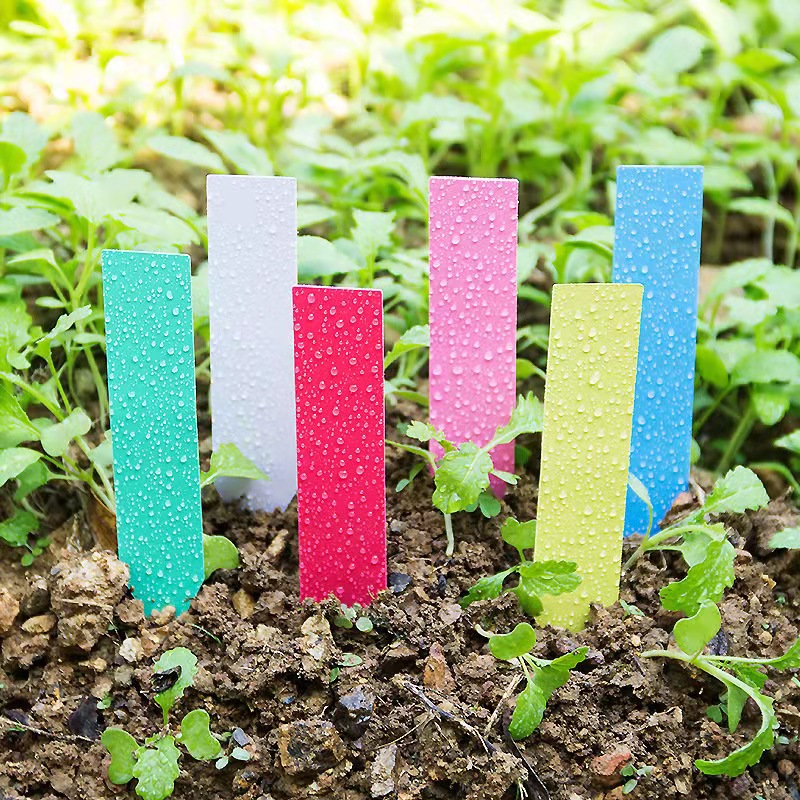 100Pcs Garden Plant Labels Pla - Embroidery Garden 评论和价格