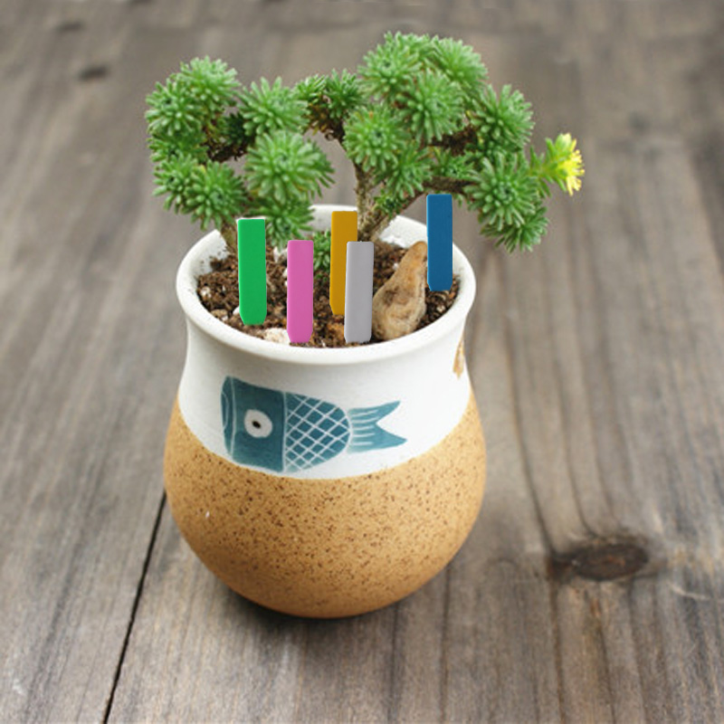 100Pcs Garden Plant Labels Pla - Embroidery Garden 评论和价格