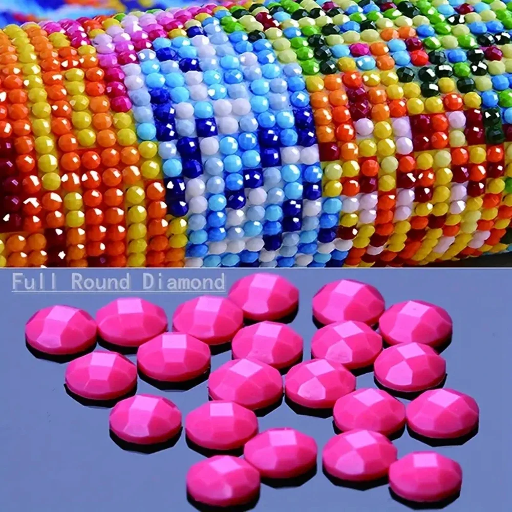 Frameless,5D DIY Diamond Paint - Embroidery For Beginners 评论和价格
